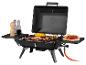 Draagbare gasbarbecue met eten, kruiden en drankjes