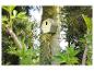 Moderne vogelhuisje aan een boomstam, omringd door weelderig groen.