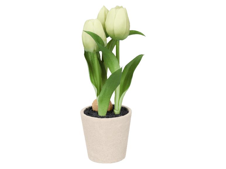Kunsttulpen in pot, wit