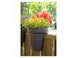 Bloempotten met rode geraniums en andere planten hangend aan een houten hek.