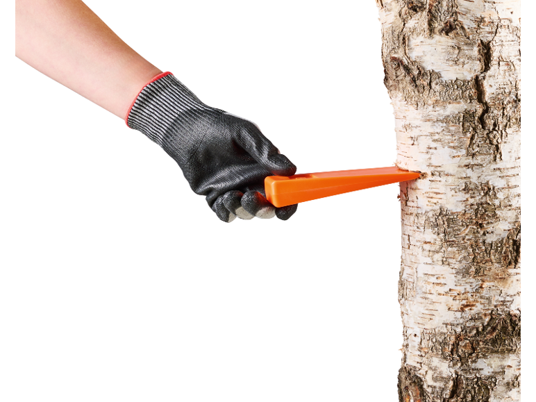 Hand in werkhandschoen steekt een oranje velsplijt in een berkenboomstam.