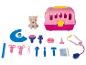 Speelgoeddierenartsset met knuffelhond, draagtas en accessoires.