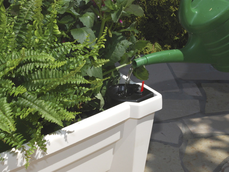 Een groene gieter giet water in een witte plantenbak met varens.