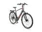 Grijze elektrische fiets met rode accenten, bagagedrager en spatborden.
