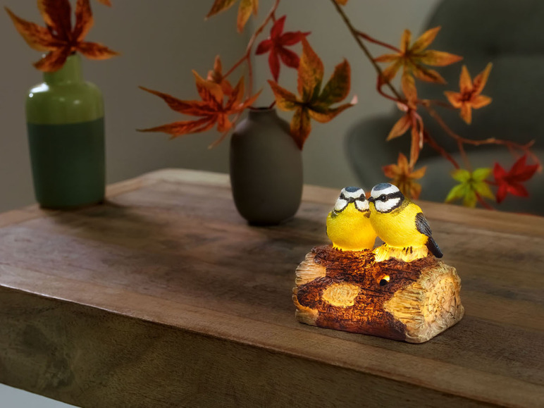 Ga naar volledige schermweergave: LIVARNO home LED-decoratievogel met bewegingsmelder - afbeelding 13