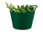 Groene flexibele emmer met groene bladeren