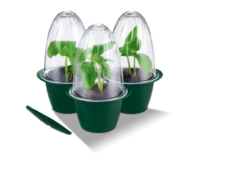 Drie groene potten met transparante deksels, geschikt voor het kweken van kleine planten.