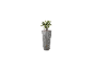 Hoge grijze plantenbak met groene plant en messing kraan.