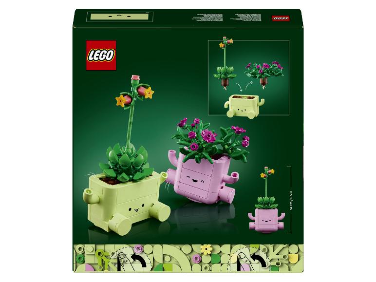 Achterkant van de LEGO BOTANICALS Schaukelnde Pflanzen doos met twee potten met gezichtjes.