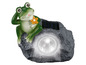 Een groene kikker op een rots met een geïntegreerde solarlamp.
