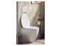 Een modern wit toilet met open deksel, een spoelplaat en een donkergrijze pedaalemmer in een badkamer.