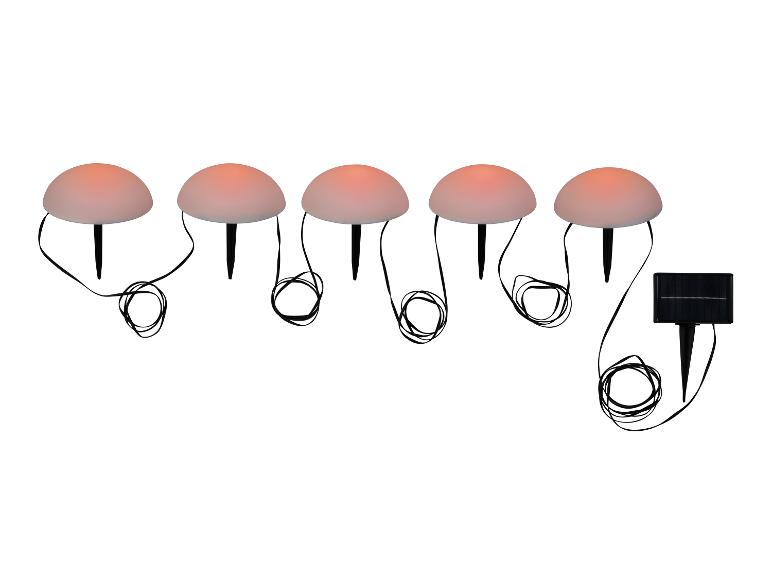 Vijf mushroom-vormige solar tuinlampen.