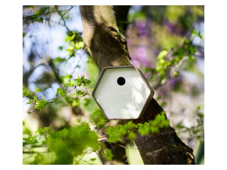 Zeshoekig vogelhuisje aan een boomstam, omringd door groene bladeren en een wazige achtergrond.