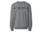 Grijze sweater met de tekst 'STRENESSE BLUE' op de rug.