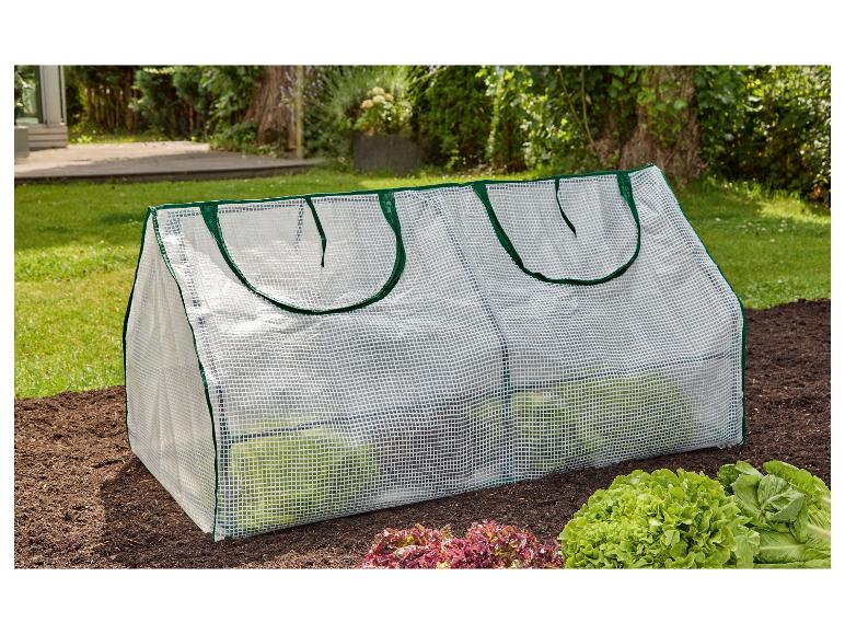 Kleine kas in de tuin, met slasoorten erin en ernaast