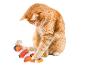 Een oranje kat speelt met een oranje vis-vormig speeltje.