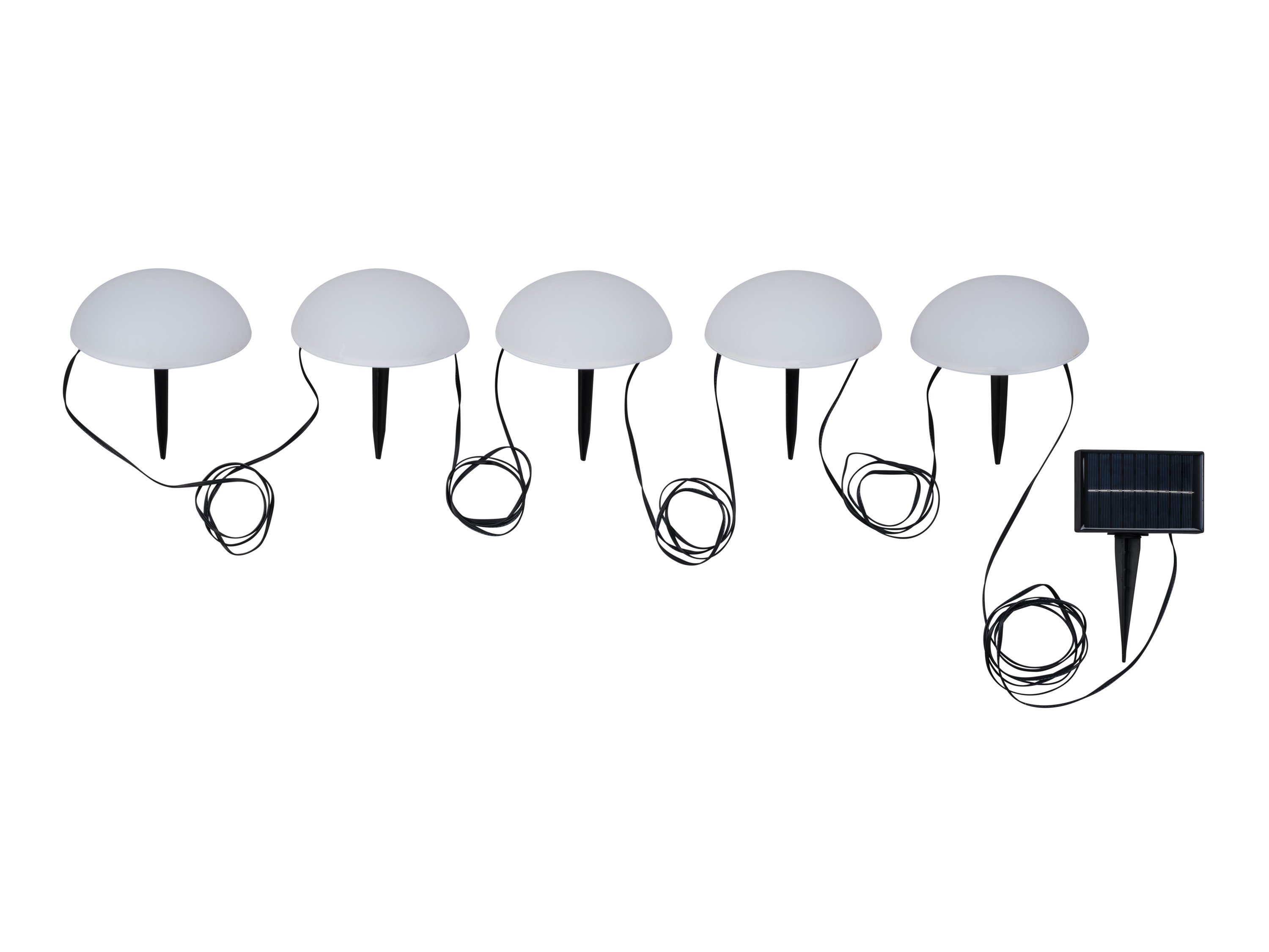 LIVARNO home RGB tuinlampen op zonne-energie (Halve bol)