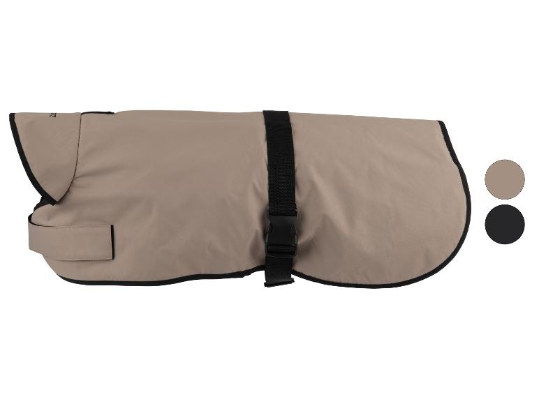 Beige hondenjas met zwarte riem en gesp, met bruine en zwarte kleuropties.