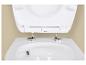 Witte toiletbril met softclose scharnier