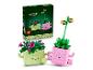 LEGO BOTANICALS 11506 Schaukelnde Pflanzen met doos en twee kleurrijke planten.