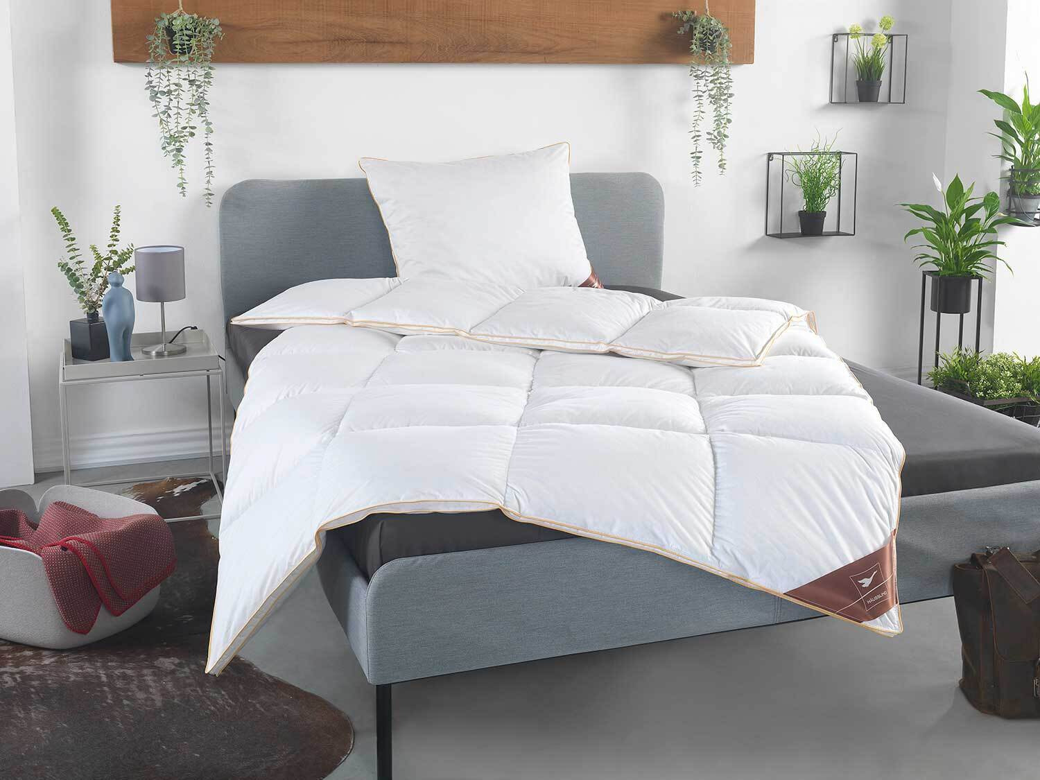 HÄUSSLING Royal donzen cassette dekbed extra warm