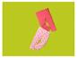 Twee kinderleggings: roze met aardbeienpatroon en effen koraalrood.