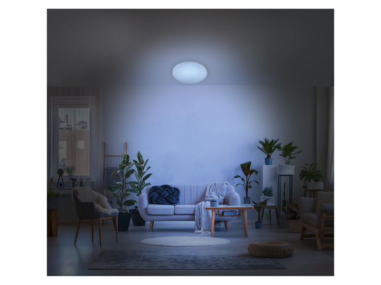 Ga naar volledige schermweergave: LIVARNO home LED plafondlamp - afbeelding 4