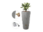Hoge grijze plantenbak met plant, voorzien van een kraan en interne onderdelen.