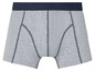 Grijze boxershorts met een donkerblauwe tailleband.