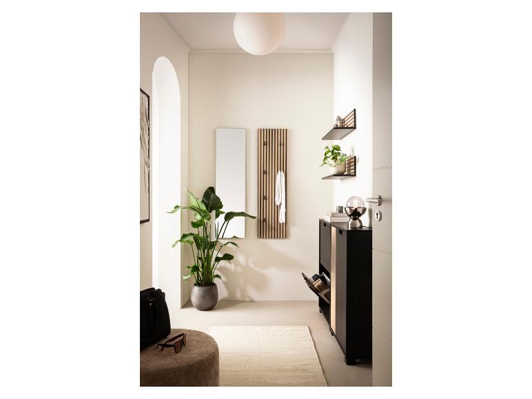 Hal met schoenenkast, spiegel, kapstok, planken en een grote groene plant.