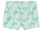 Mintgroene shorts met een print van dolfijnen.