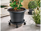 Grote plantenpot op een plantenroller met wielen, met andere potplanten op de achtergrond.