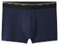 Donkerblauwe herenboxershort met zwarte elastische tailleband en grijze strepen.