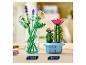LEGO BOTANICALS madeliefjesset 11508 in een vaas naast cactus 11509