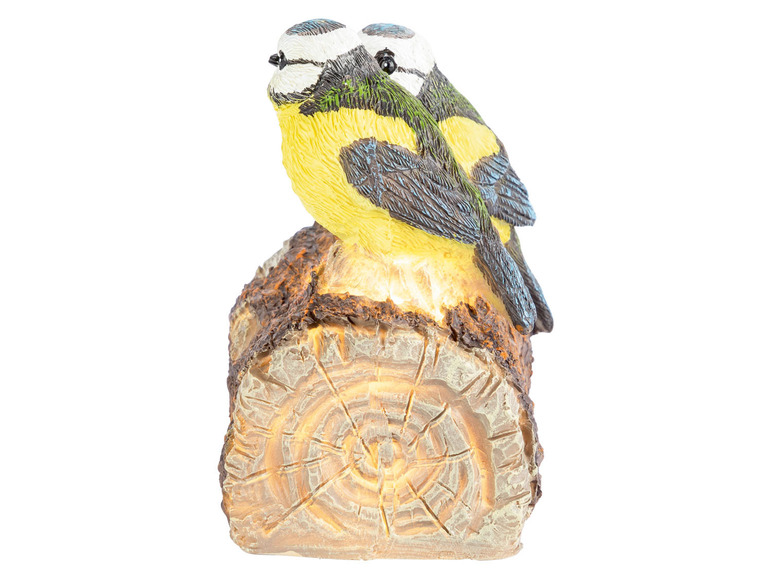 Ga naar volledige schermweergave: LIVARNO home LED-decoratievogel met bewegingsmelder - afbeelding 12