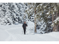 Man met wandelstokken op besneeuwd pad omringd door met sneeuw bedekte bomen.