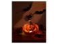 Halloween pompoen lantaarn met vleermuizen, spinnen, dennenappels en herfstbladeren.