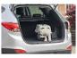 Kleine hond in reismand in de kofferbak van een auto