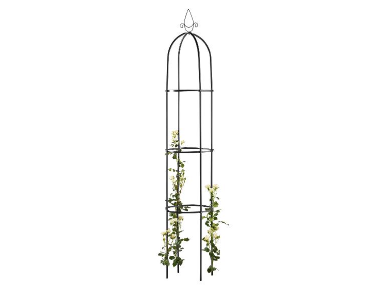 Zwarte metalen tuinobelisk met klimmende witte rozen.