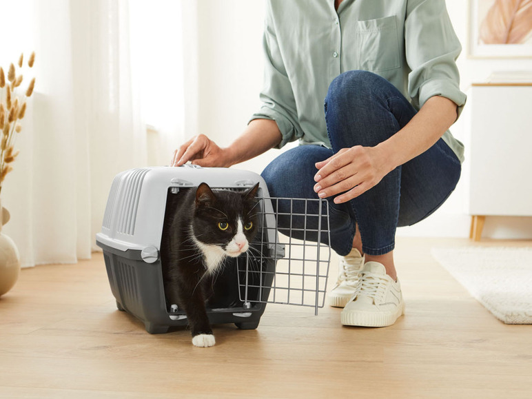 Een kat in een draagkooi voor huisdieren.