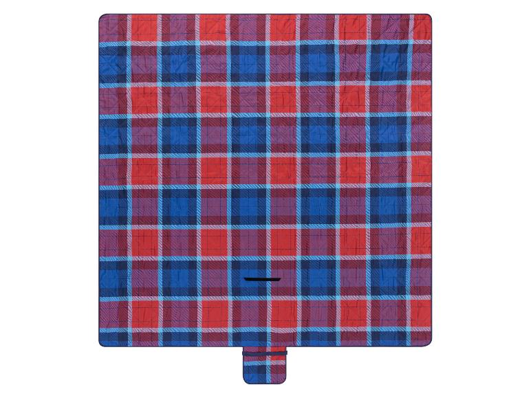 Rode en blauwe geruite picknickdeken.