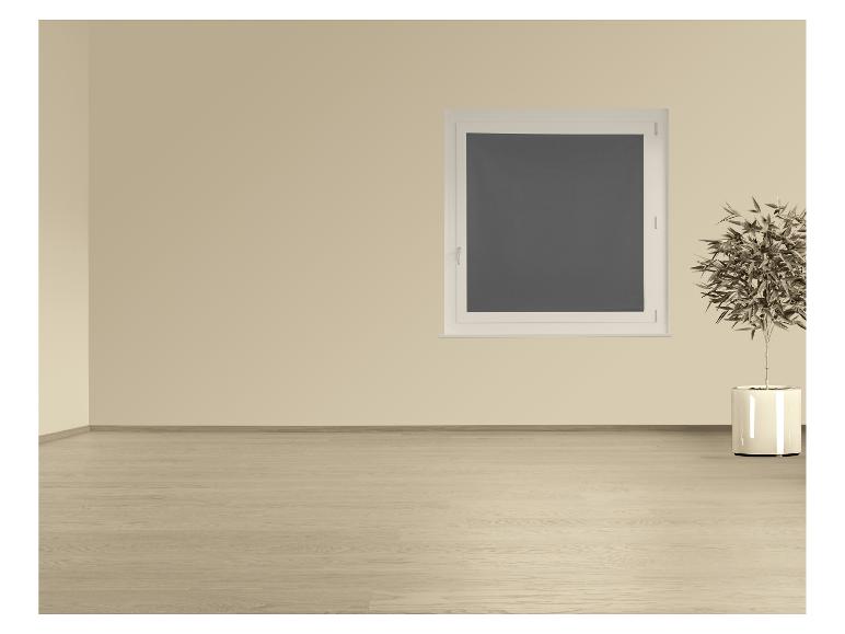 Lege kamer met beige muren, lichte houten vloer, raam en potplant.