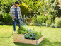 Een man watert een moestuin met een tuinslang in een houten plantenbak.