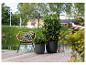 Rotan stoel met kussen en potplanten op een houten vlonder aan het water.