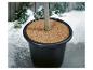 Potplant met kokosmat erop, omringd door sneeuw op een houten vlonder.
