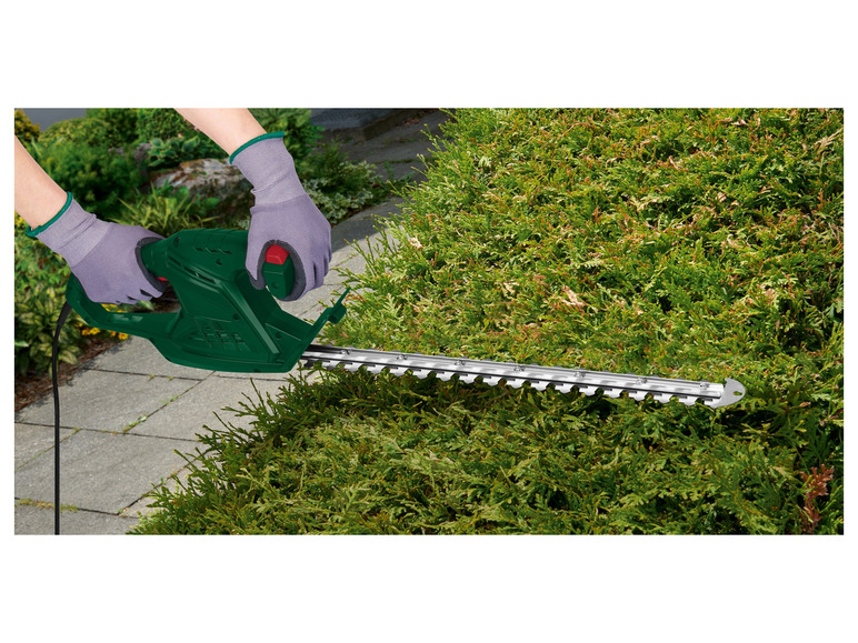 Een groene heggenschaar wordt gebruikt om een ​​heg te snoeien.