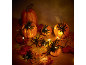 Halloween spinnen lichtsnoer met pompoenen en herfstbladeren.
