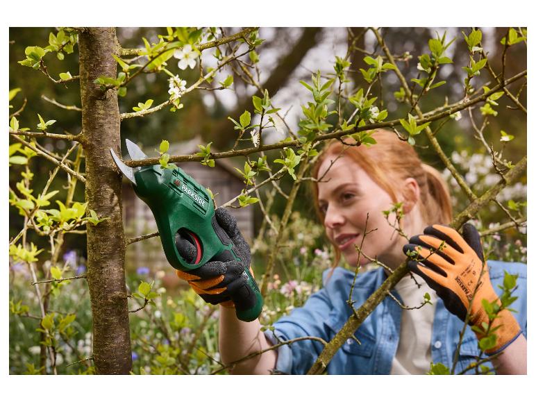 Vrouw snoeit boomtakken met elektrische snoeischaar in de tuin.