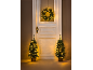 Kerstkrans en twee kleine kerstbomen met verlichting bij een deur.