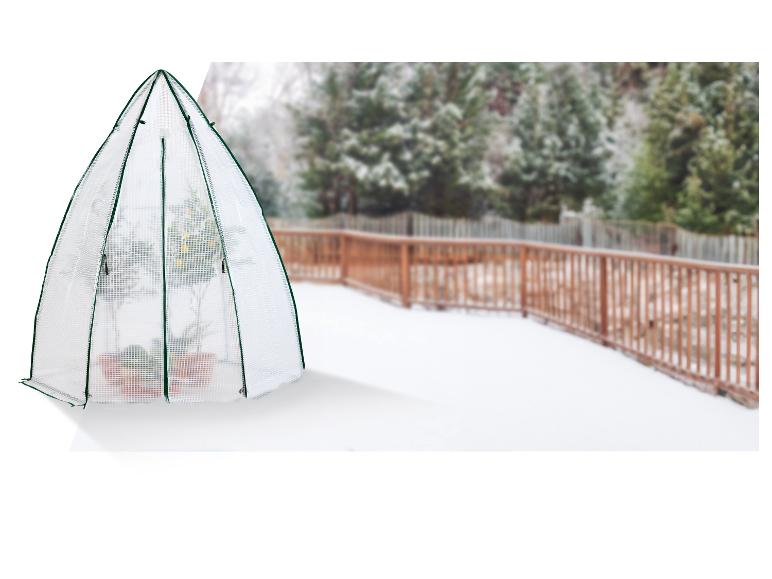 Transparante koepelvormige kas met planten op een besneeuwd terras